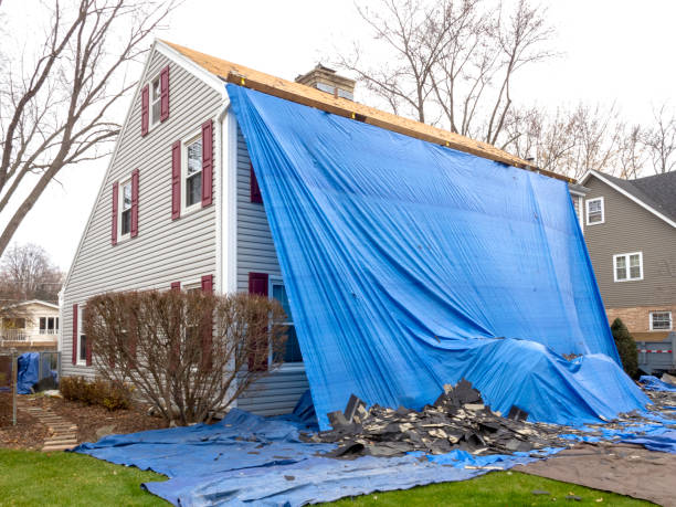 Best Hoarding Cleanup  in Marquette, MI